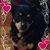 Sandy Long's profile image