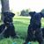 Patricia Smith's profile image