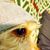 Paula Wilson's profile image