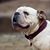 Magee Chandler's profile image