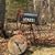 Cheryl Kitterman Gentry's profile image
