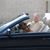 Andrew MacDonald's profile image