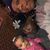 Darrius Brown's profile image