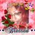 Netra Hilliard's profile image