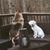 Debbie Lutz Hecker's profile image