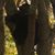 John Clark's profile image