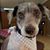 Teresa Bailey's profile image