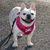 Joy Cleaver Miller's profile image