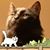 Mary Matosich Marcano's profile image