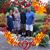 Shelley Parkhurst's profile image