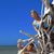Holly Stucki's profile image