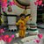 Amit Verma's profile image