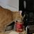 Jill Neuman Cohen's profile image