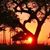 Rebecca S Cooper's profile image