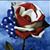Susan Aufmuth's profile image