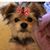 Karen Tedford's profile image