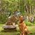 Bambi Penning's profile image