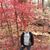 Laura L. Goosic's profile image