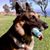 Ric Fausto's profile image