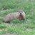 Suzanne Chismar's profile image