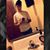 Ash Wernicki's profile image