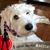 Karen Amberg Beirne's profile image