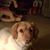 Cindy Waltko's profile image