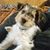 Susanne Dentgen's profile image