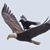 Giny Lasky Volante's profile image