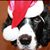 Karen Boyer's profile image
