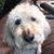 Bob Lux's profile image