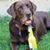 Tammy Torres Hennessy's profile image