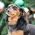 Carol Thompson's profile image