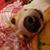 Stacie Dinkel's profile image