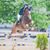 Alyssa Plewacki's profile image