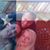 Jesse Scott's profile image