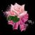 Rosemary Lyson's profile image