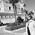 Elena Dolce's profile image
