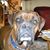 John-Carole Brawner's profile image