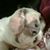 Jessica Johnson's profile image
