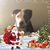 Sharon Kelley Ball's profile image