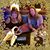 Lori Girola McCarthy's profile image