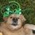 Amy Richardson Gallagher's profile image