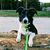 Jodi Wood's profile image