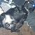 Michael Christopher Duran's profile image