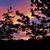 Karen Shain's profile image