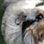 Kate Miller's profile image