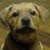 Droc Numstreet Brooks's profile image