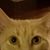 Regina Emerson's profile image