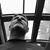 David Chinick's profile image